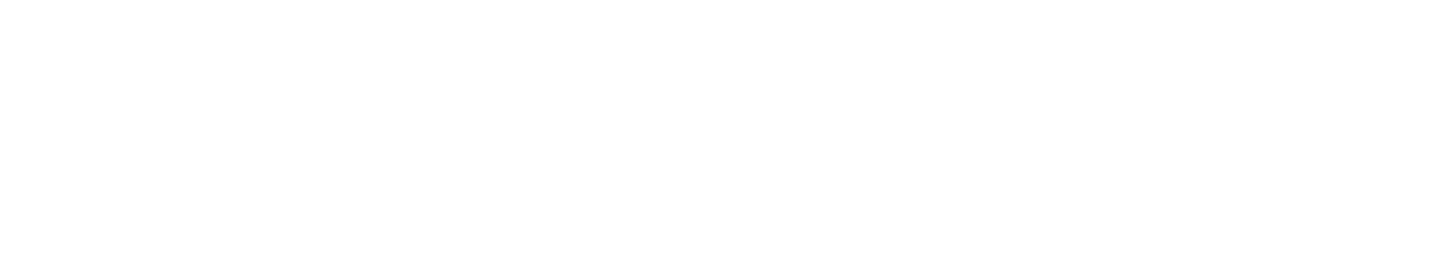 Netcom.